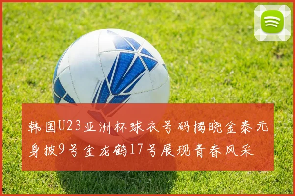 韩国U23亚洲杯球衣号码揭晓金泰元身披9号金龙鹤17号展现青春风采