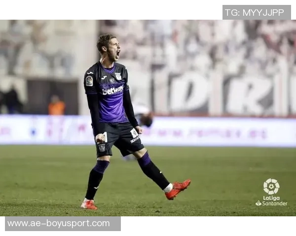 山东蜜獾新赛季注册名单正式公布双主场模式引发期待与关注